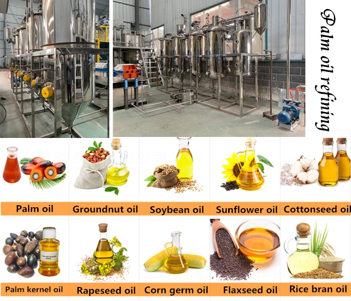 palm oil refinery plant