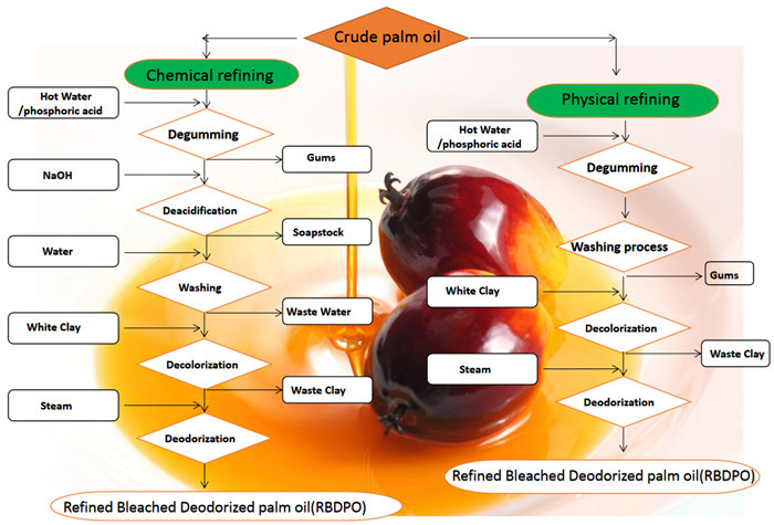 palm oil refining process