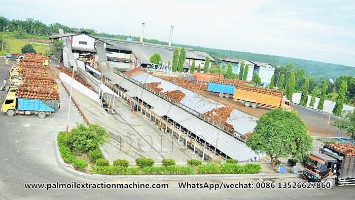 palm oil processing plant