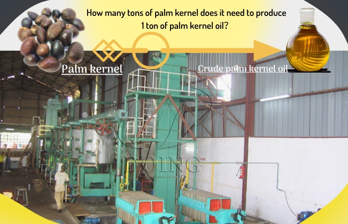 palm kernel oil processing machine