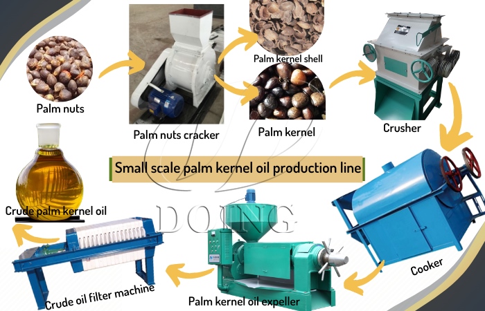 palm kernel oil procesing machine