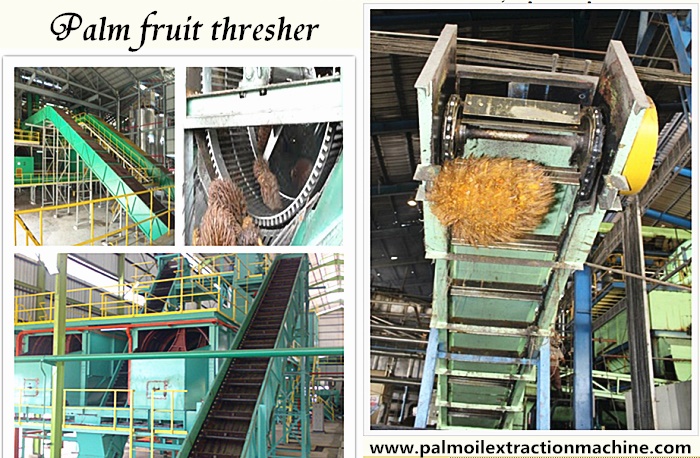 palm fruti thresher machine
