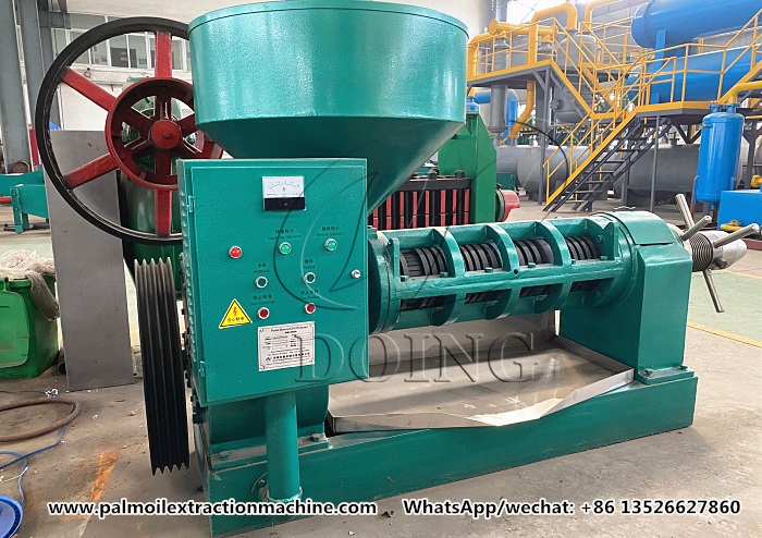 palm kernel oil expeller machine