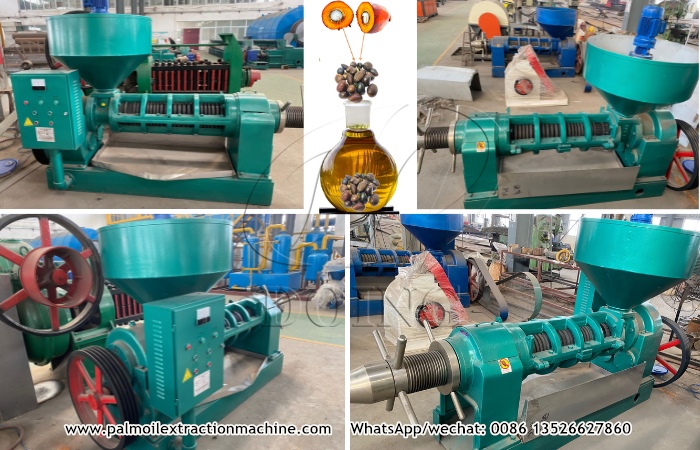 palm kernel oil expeller machine